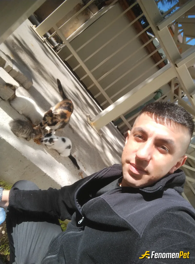 Sokak hayvanı besleme: #Fenomenbet
Bu sıcak havalarda sokaktaki canlarımız için bir kap su, mama bırakmayı ihmal etmeyin..