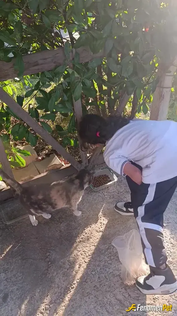 Sokak hayvanı besleme: Sitemizdeki misafirlerimizi kızımla doyurduk😀😀